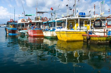 Mirissa, Sri Lanka - Aralık