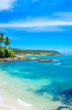 sri Lanka tropikal plaj