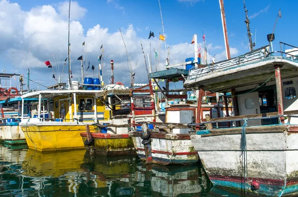 Mirissa, Sri Lanka - Aralık