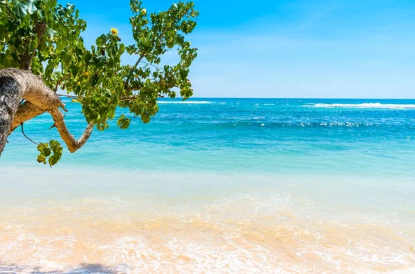 Tropisk strand i sri lanka — Stockfoto