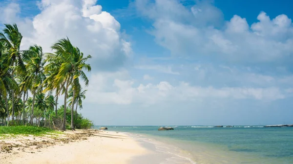 Real Untouched Tropical Beach Sri Lanka East Coast Pasikuda Beach — Stock Photo, Image