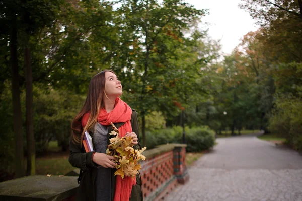 Sevimli kız güzel sonbahar parkta yürüyor. — Stok fotoğraf