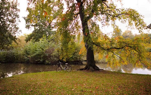 Bellissimo paesaggio autunnale. — Foto Stock