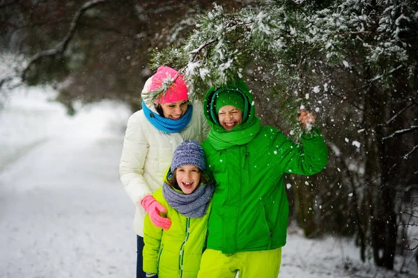 겨울 날에 산책에 두 아들을 가진 어머니. — 스톡 사진