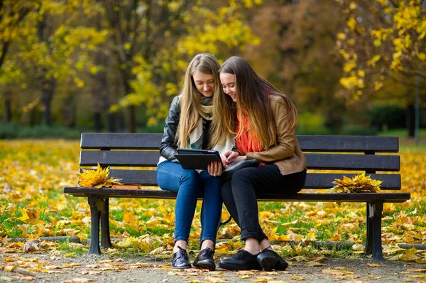 初期の暖かい秋します。秋の公園でベンチに座っている二人の魅力的な女の子. — ストック写真