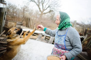 Yaşlı countrywoman bir köpekle oynar.