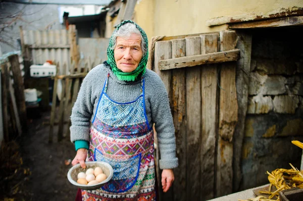 Yumurta tavuk evde yaşlı countrywoman toplar.
