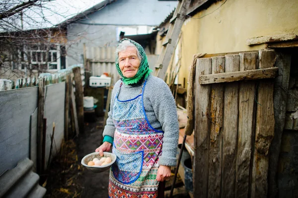 Yumurta tavuk evde yaşlı countrywoman toplar.