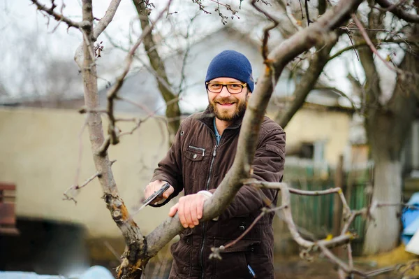 Pria berjanggut muda menggergaji cabang-cabang kering pohon buah . — Stok Foto