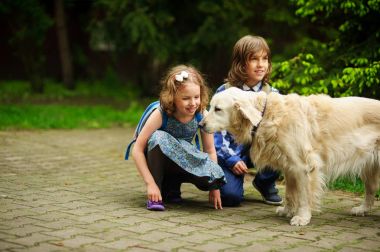 Küçük okul yolda büyük bir köpek okul için bir araya geldi.