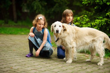 Küçük okul yolda büyük bir köpek okul için bir araya geldi.