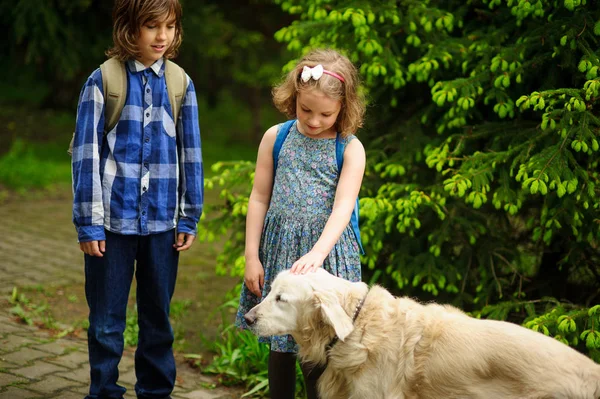 Los niños pequeños se reunieron en el camino a la escuela un perro grande . — Foto de Stock