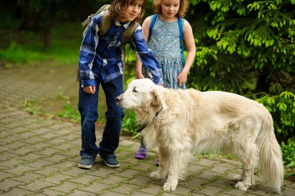 Little schoolchildren met on the way to school a large dog. — Stock Photo, Image