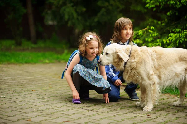 Weinig scholieren ontmoet onderweg naar school een grote hond. — Stockfoto