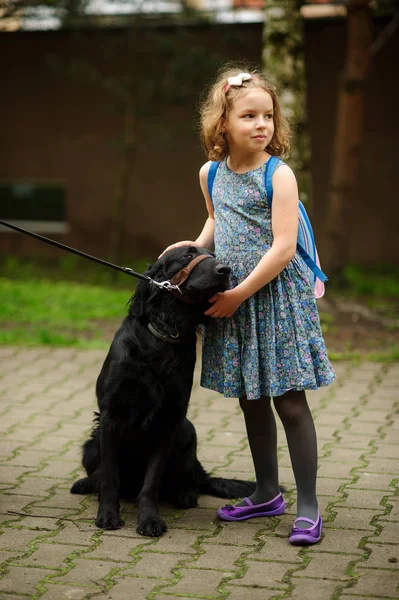 Little schoolgirl caressing a big black dog sitting on a leash.
