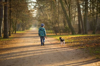 Çocuk 10-11 yıl sonbahar Park köpek yürüyüş.