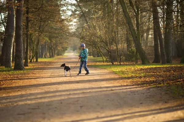 10-11 年秋公園に犬の散歩の少年. — ストック写真