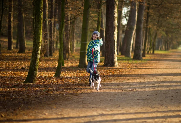Çocuk 10-11 yıl sonbahar Park köpek yürüyüş. — Stok fotoğraf