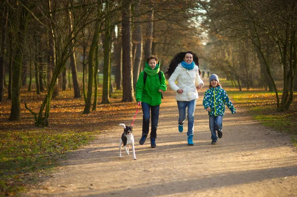 어머니와 두 아들이을 공원에 있는 재미. — 스톡 사진