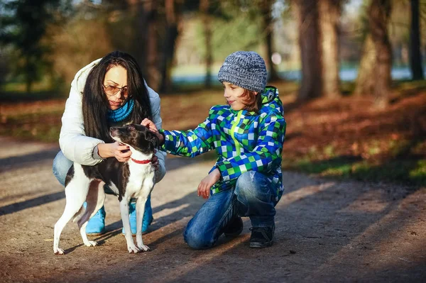 Moeder en zoon lopen hun huisdier in het najaar Park. — Stockfoto