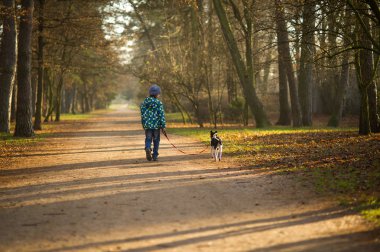 Çocuk 10-11 yıl sonbahar Park köpek yürüyüş.
