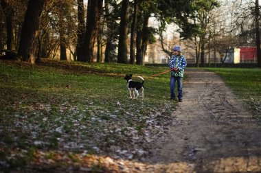 Çocuk 10-11 yıl sonbahar Park köpek yürüyüş.