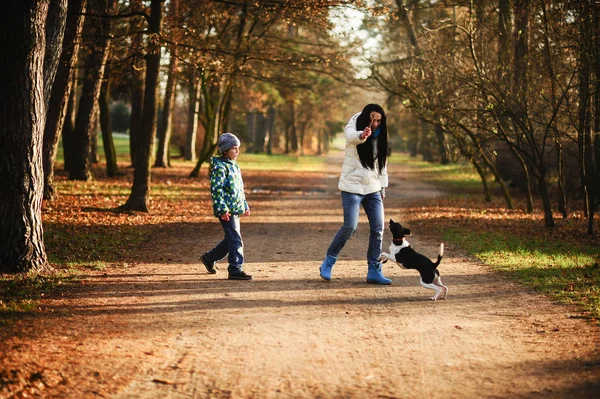 Madre e figlio a piedi il loro animale domestico nel parco autunnale . — Foto Stock