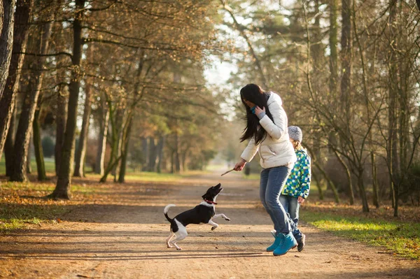 Madre e hijo pasean a su mascota en el parque de otoño . — Foto de Stock