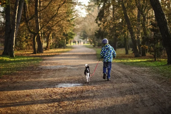 Niño 10-11 años paseando al perro en otoño Park . — Foto de Stock