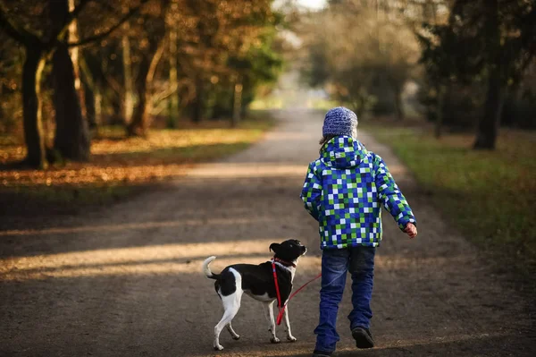 Niño 10-11 años paseando al perro en otoño Park . — Foto de Stock