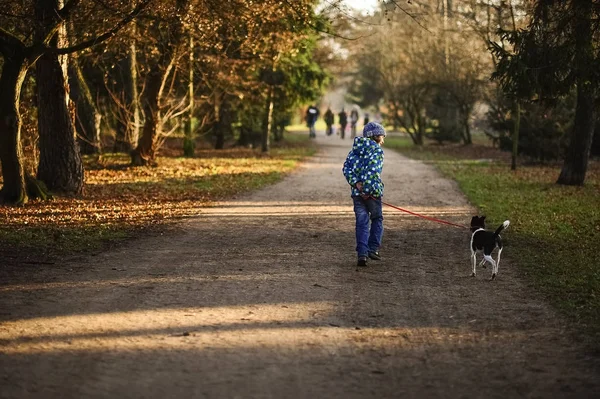 Boy 10-11 years walking the dog in autumn Park.