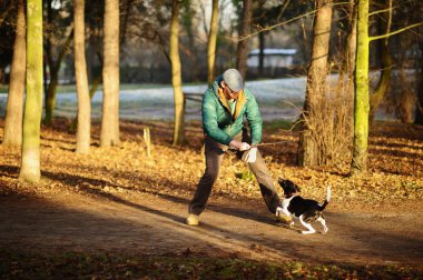 Genç adam sonbahar parkta köpek eğitiyor.