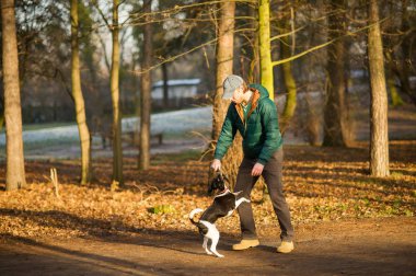 Genç adam sonbahar parkta köpek eğitiyor.
