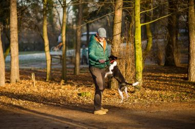 Genç adam sonbahar parkta köpek eğitiyor.