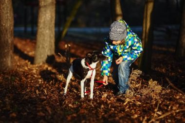 9-10 yaşında bir çocuk köpeğini çömelme.