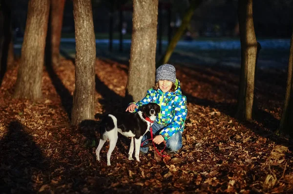 Um menino de 9-10 anos está se agachando ao lado de seu cão . — Fotografia de Stock