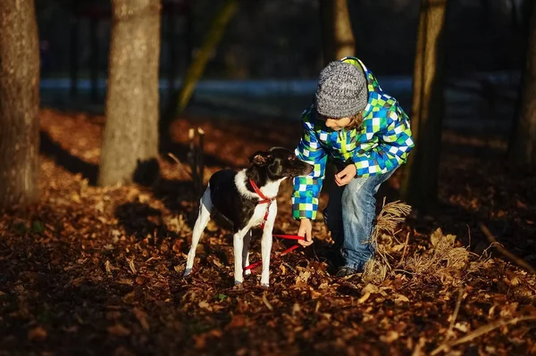 Un niño de 9-10 años se agacha junto a su perro . — Foto de Stock