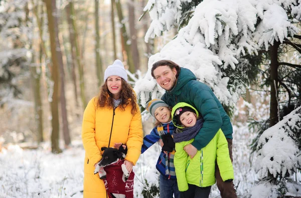 Retrato familiar en el bosque invernal . — Foto de Stock