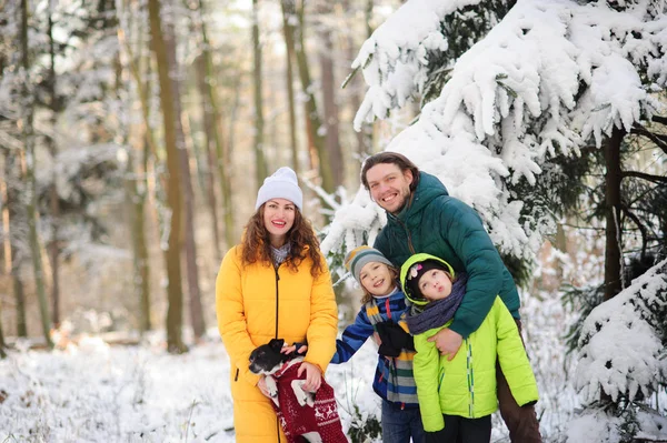 Retrato familiar en el bosque invernal . — Foto de Stock