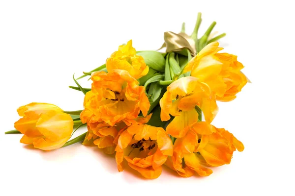 Bouquet of orange spring tulips — Stock Photo, Image