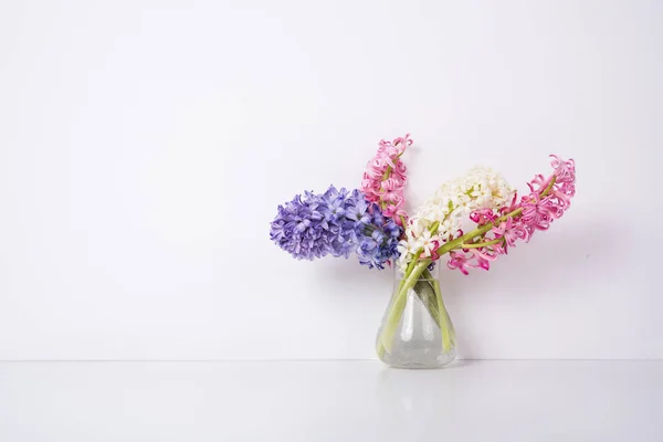 Purple and pink hyacinth flowers — Stock Photo, Image