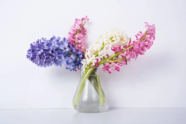 紫色和粉色的风信子花 — 图库照片