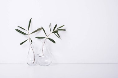 İki zeytin dalı cam şişelerde