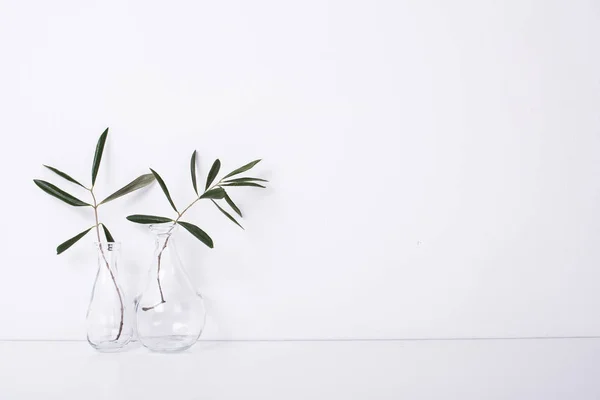 Zwei Olivenzweige in Glasflaschen — Stockfoto