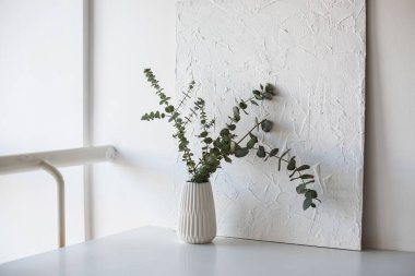 Beyaz Oda tablo vazo dallarında