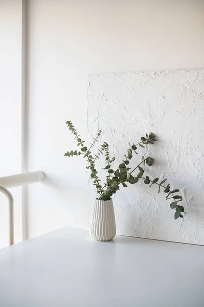 白い部屋のテーブルの上に花瓶の枝 — ストック写真
