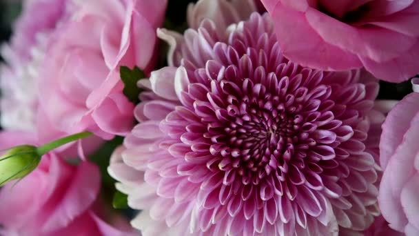 Strauss aus rosa Chrysanthemen und Eustoma — Stockvideo