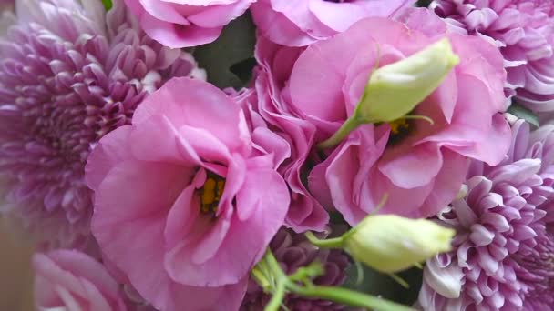 Strauss aus rosa Chrysanthemen und Eustoma — Stockvideo