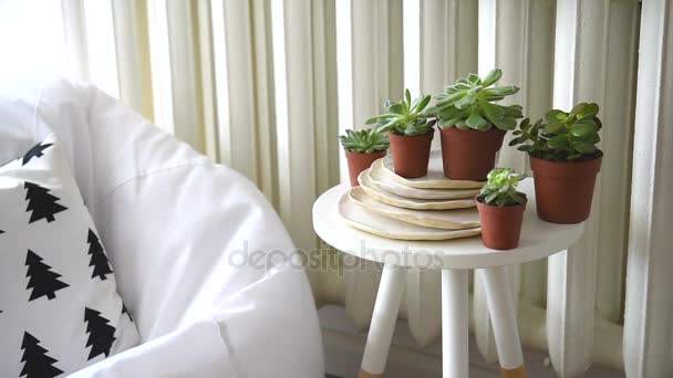 Scandinavische interieur, home decor, succulenten en gezellige stoel — Stockvideo