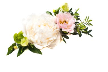 Peony çiçek aranjman beyaz arka planda izole. Şenlikli